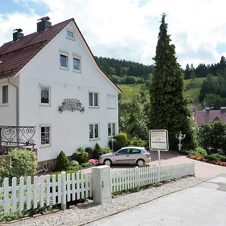 Pension Rheingold Garni Bad Grund Exterior foto