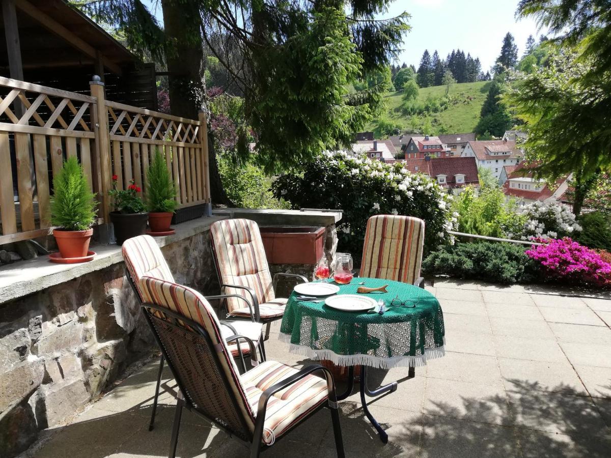 Pension Rheingold Garni Bad Grund Exterior foto