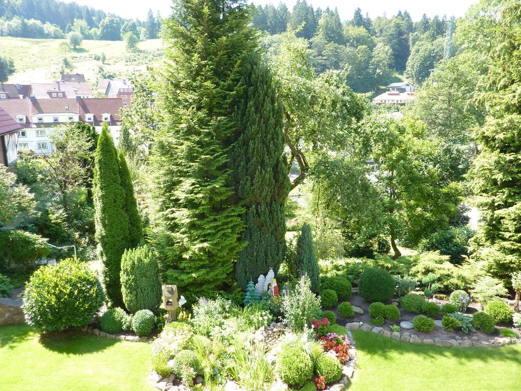 Pension Rheingold Garni Bad Grund Exterior foto