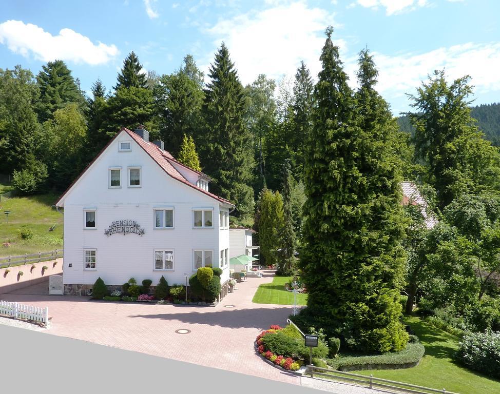 Pension Rheingold Garni Bad Grund Exterior foto
