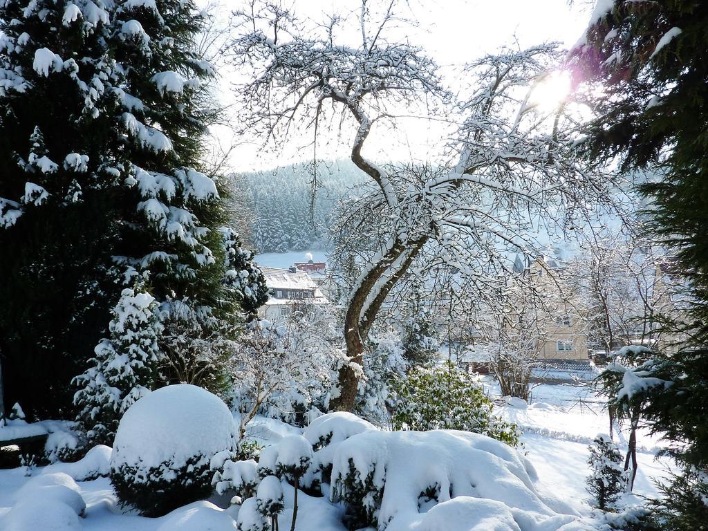 Pension Rheingold Garni Bad Grund Exterior foto