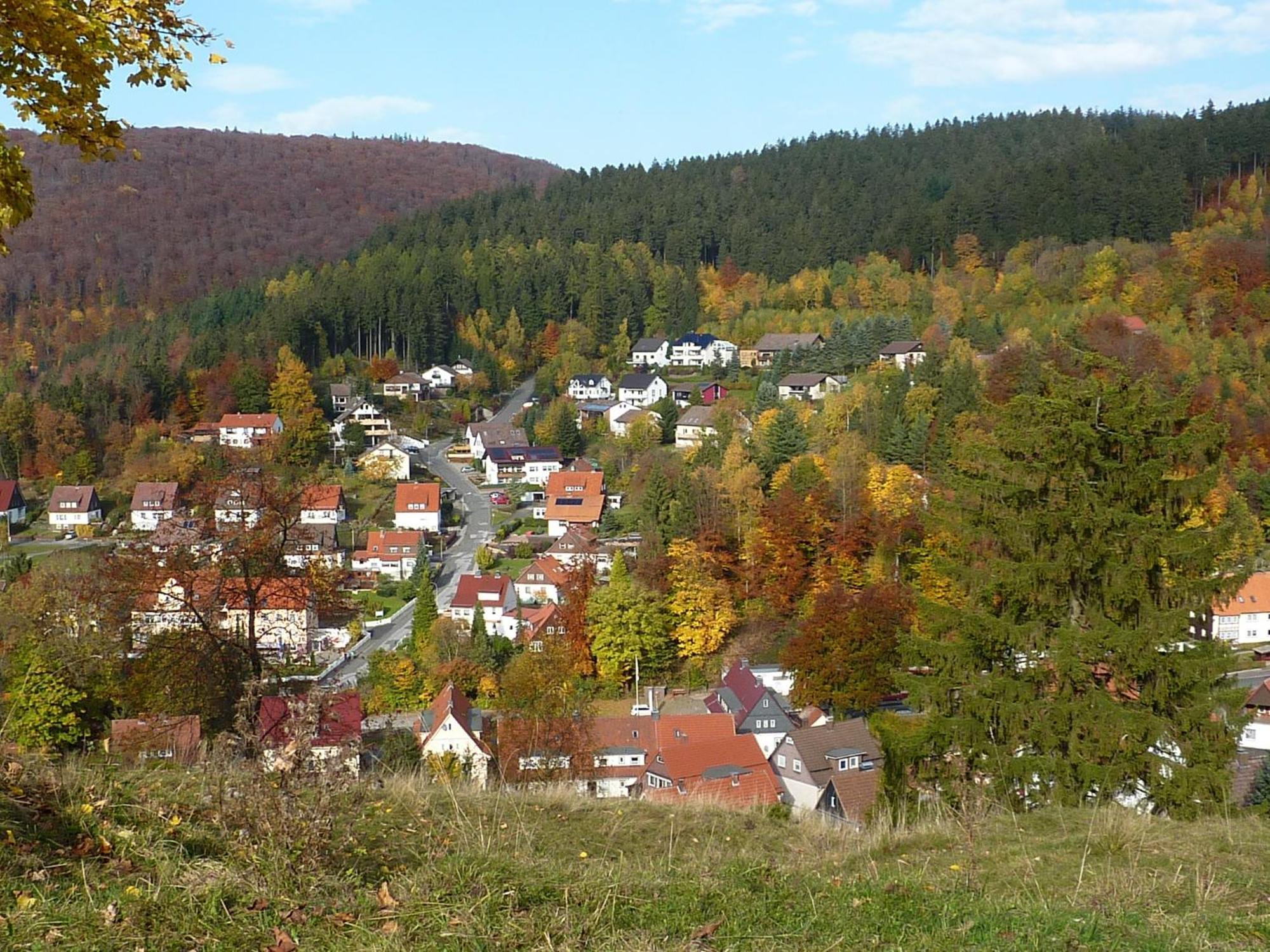 Pension Rheingold Garni Bad Grund Exterior foto