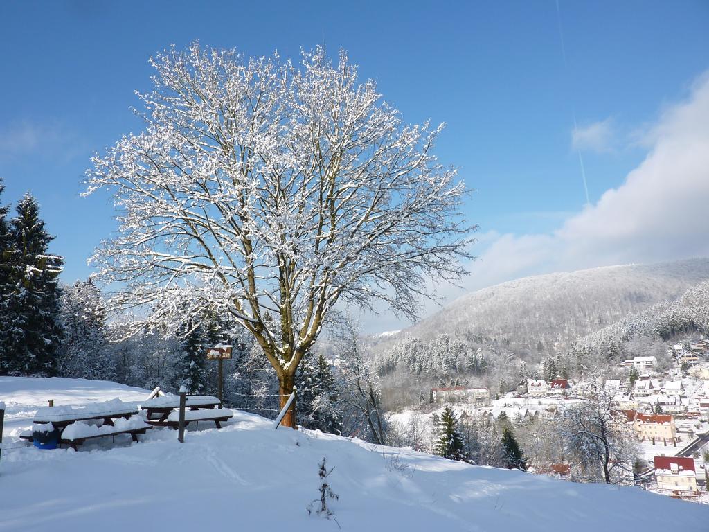 Pension Rheingold Garni Bad Grund Exterior foto