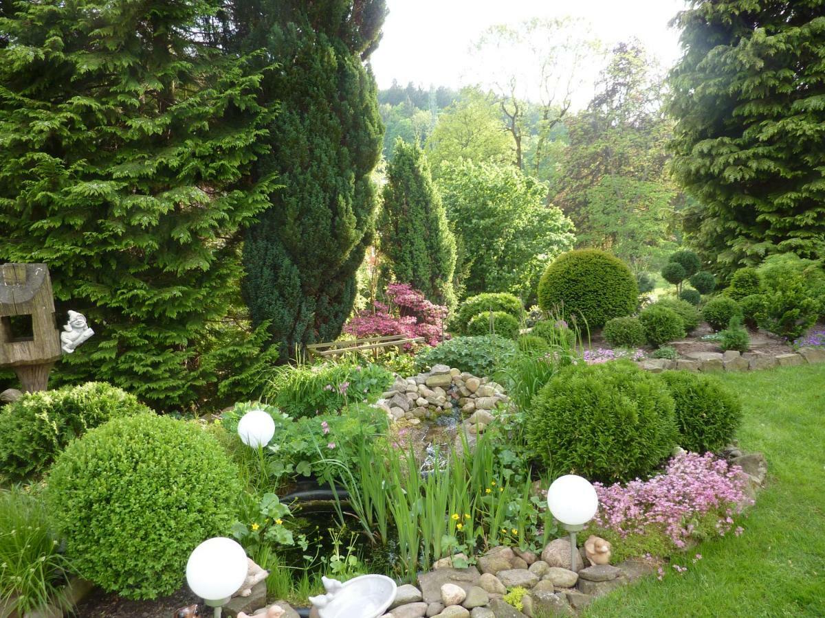 Pension Rheingold Garni Bad Grund Exterior foto